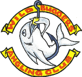 Beach Buggy Club SA Fish Logo